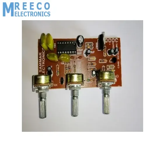 PT2399 Audio Mic Module