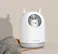 Humidifier Air Purifier Ultrasonic Humidifiers