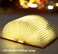 LED Book Shaped Folding Rechargeable Lamp (6.5 x 4.9x1)Inch