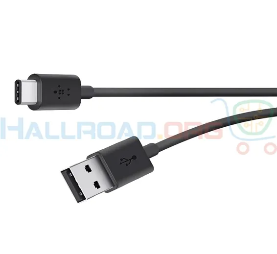 3.1 Type C Data Charging Cable