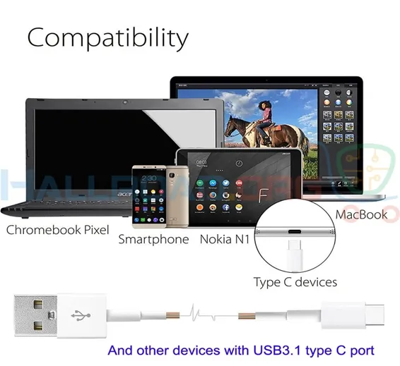 3.1 Type C Data Charging Cable