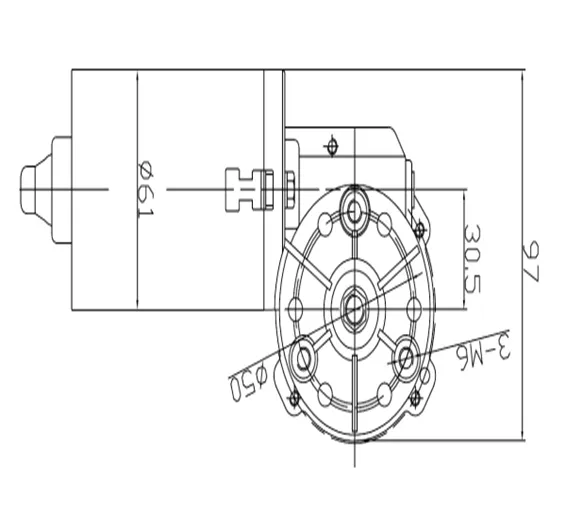 12V 50W Worm Gear Motor