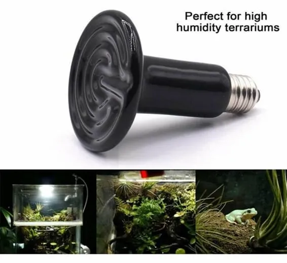 Mini Infrared Ceramic Heating Bulb Light 50W 220V Electric Heating Element For Egg Incubator Reptile Pets Birds