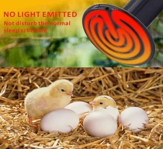 Mini Infrared Ceramic Heating Bulb Light 50W 220V Electric Heating Element For Egg Incubator Reptile Pets Birds